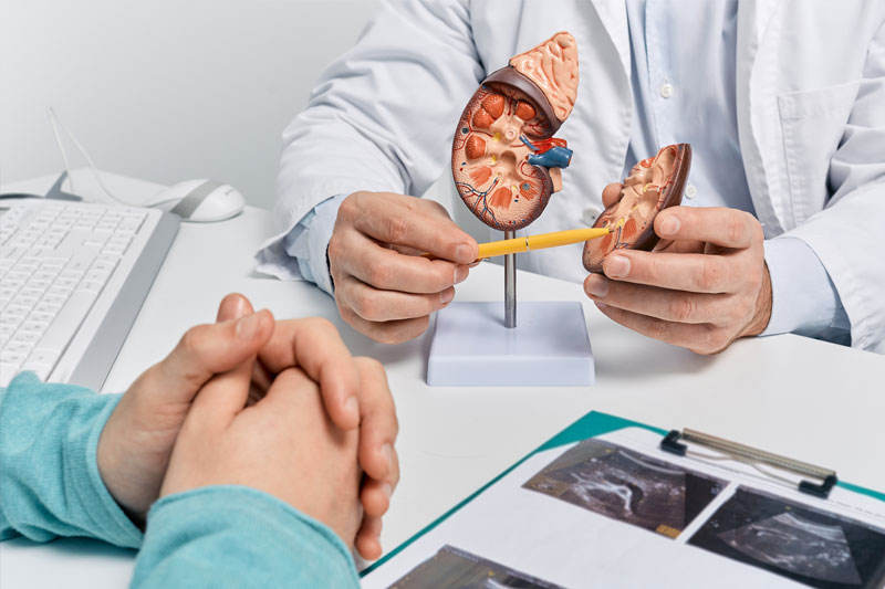 A urologist providing a patient with a consultation