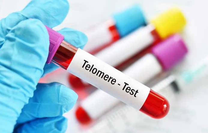 What is the prognosis for Testicular Cancer?
